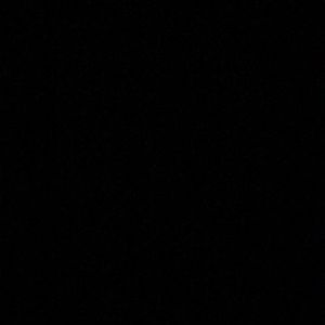 Meet your Posher, Allie